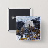 ケルプで包まれたなラッコ 缶バッジ (正面&裏面)