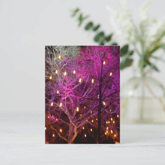 ケルンのクリスマスマーケットのイルミネーション ポストカード (スタンド正面)