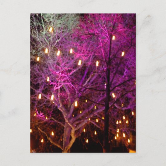 ケルンのクリスマスマーケットのイルミネーション ポストカード (正面)