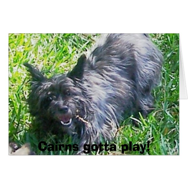 ケルンは遊ぶために得ました! (正面横)