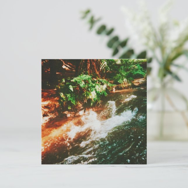 ケロセネクリークホット春 (スタンド正面)