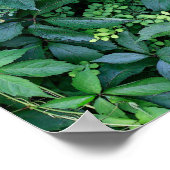 ケンの庭の植物 ポスター (角)