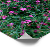 ケンの庭の植物 ポスター (角)