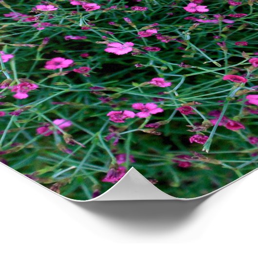 ケンの庭の植物 ポスター (角)