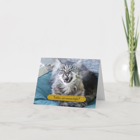ケンカしたい？おもしろい猫 サンキューカード (正面)