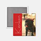 ケンケン磁石A マグネット (正面/裏面)