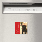 ケンケン磁石A マグネット (インサイチュ (食洗機))