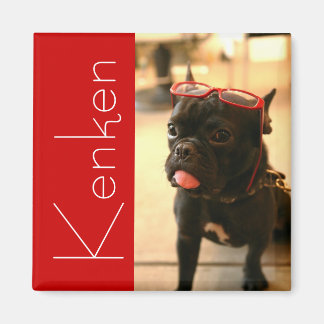 ケンケン磁石A マグネット