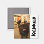 ケンケン磁石E マグネット (正面/裏面)