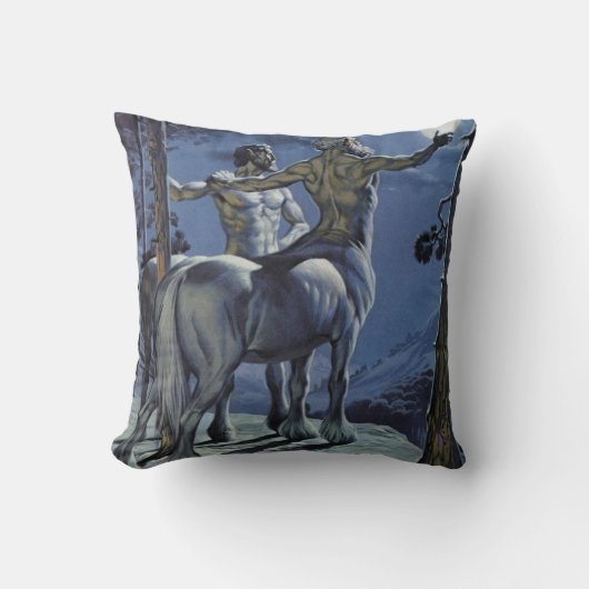 ケンタウルス(色のlitho) クッション (正面)