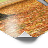 ケンタウル フォトプリント            (角)