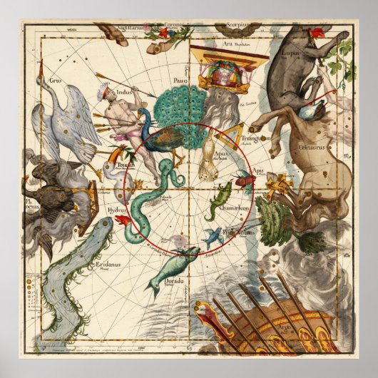 ケンタウロス、インダス、チャマエレオン、エリダナス、ルプルス ポスター (正面)