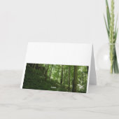 ケンタッキーの木 カード (裏面)