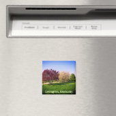 ケンタッキーの美しい風景と木 マグネット (インサイチュ (食洗機))