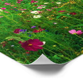 ケンタッキーの花畑 ポスター (角)