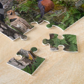 ケンタッキーの裏庭の鳥 ジグソーパズル (側面)