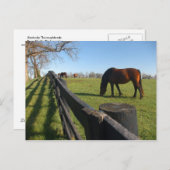 ケンタッキーサラウブレッズ ポストカード (正面/裏面)