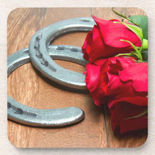 ケンタッキーダービーコースター コースター (正面)