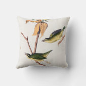 ケンタッキーフライを引くウォーブラーバードイラストレーション クッション (裏面)