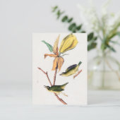 ケンタッキーフライを引くウォーブラーバードイラストレーション ポストカード (スタンド正面)