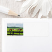 ケンタッキーブルーグラス住所 シール (インサイチュ)