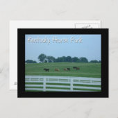 ケンタッキーホースパーク ポストカード (正面/裏面)