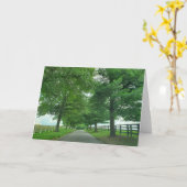 ケンタッキーロードグリーティングカード カード (黄色い花)