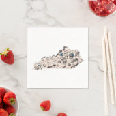 ケンタッキーヴィンテージ写真マップアンティーク州グラフ スタンダードカクテルナプキン (インサイチュ)