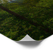 ケンタッキー地方 ポスター (角)