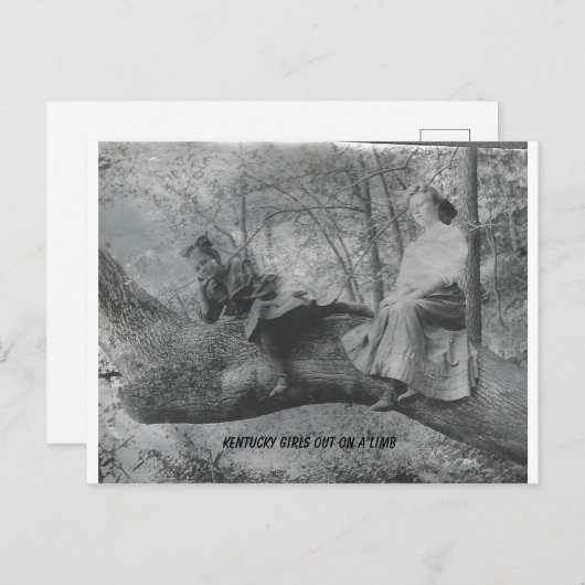 ケンタッキー州の少女たち、枝の上で ポストカード (正面/裏面)