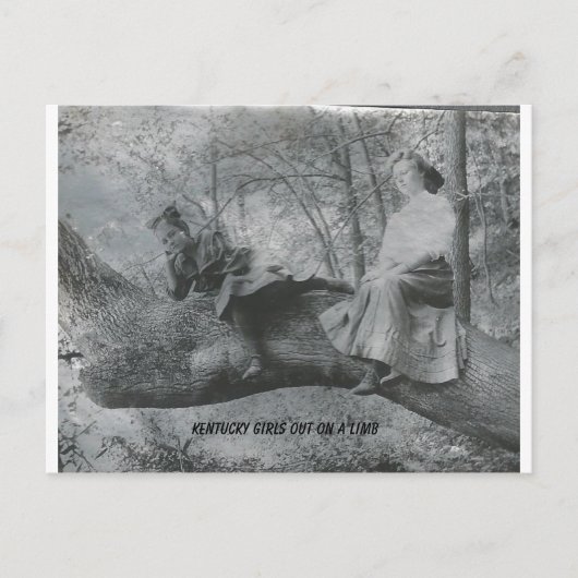 ケンタッキー州の少女たち、枝の上で ポストカード (正面)
