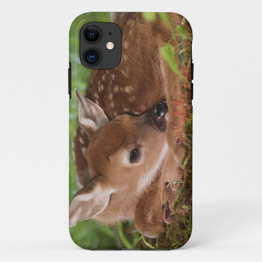 ケンタッキー州の生後2日のオジロジカの赤ちゃん Case-Mate iPhoneケース (裏面)