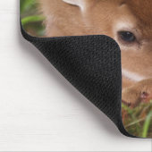 ケンタッキー州の2日間の古い白尾の鹿ベビー。 マウスパッド (コーナー)