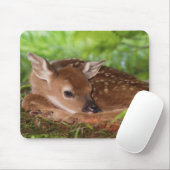 ケンタッキー州の2日間の古い白尾の鹿ベビー。 マウスパッド (マウス)