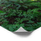 ケンタッキー州ドッグスロートクリーク ポスター (角)