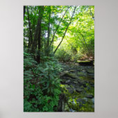 ケンタッキー州ドッグスロートクリーク ポスター (正面)