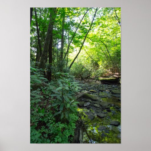 ケンタッキー州ドッグスロートクリーク ポスター (正面)