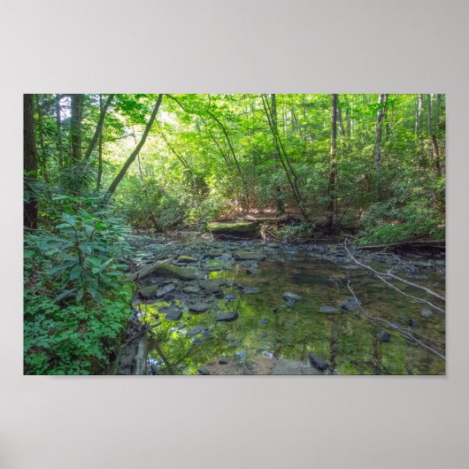 ケンタッキー州ドッグスロートクリーク ポスター (正面)