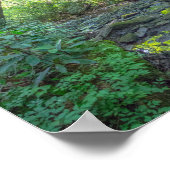 ケンタッキー州ドッグスロートクリーク ポスター (角)