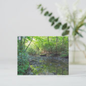 ケンタッキー州ドッグスロートクリーク ポストカード (スタンド正面)