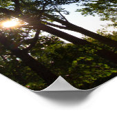 ケンタッキー州ドライランドブリッジの展望台 ポスター (角)