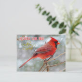 ケンタッキー州バードノーザン(鳥)ショウジョウコウカンチョウ ポストカード (スタンド正面)