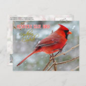 ケンタッキー州バードノーザン(鳥)ショウジョウコウカンチョウ ポストカード (正面/裏面)
