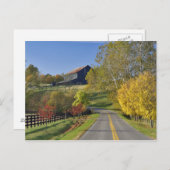 ケンタッキー州ブルーグラス地方を通る田舎道 ポストカード (正面/裏面)