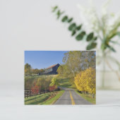 ケンタッキー州ブルーグラス地方を通る田舎道 ポストカード (スタンド正面)