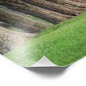 ケンタッキー州ルイビルの木々の堂々とした列。 フォトプリント            (角)