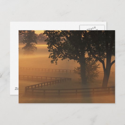 ケンタッキー州、アメリカ合衆国、NA。ケンタッキーの霧の日の出 ポストカード (正面/裏面)