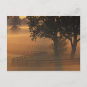 ケンタッキー州、アメリカ合衆国、NA。ケンタッキーの霧の日の出 ポストカード (正面)