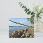 ケンタッキー湖ショアラインポストカード ポストカード (スタンド正面)