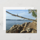 ケンタッキー湖ショアラインポストカード ポストカード (正面/裏面)